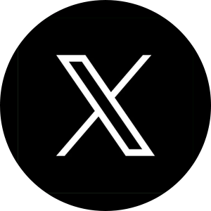 X Icon